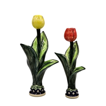TULIPANY KOMPLET